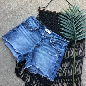 BKE Distressed Jean Shorts Size 29 - Payton